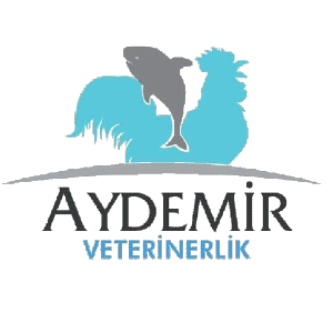 Murat Aydemir - Kurucu