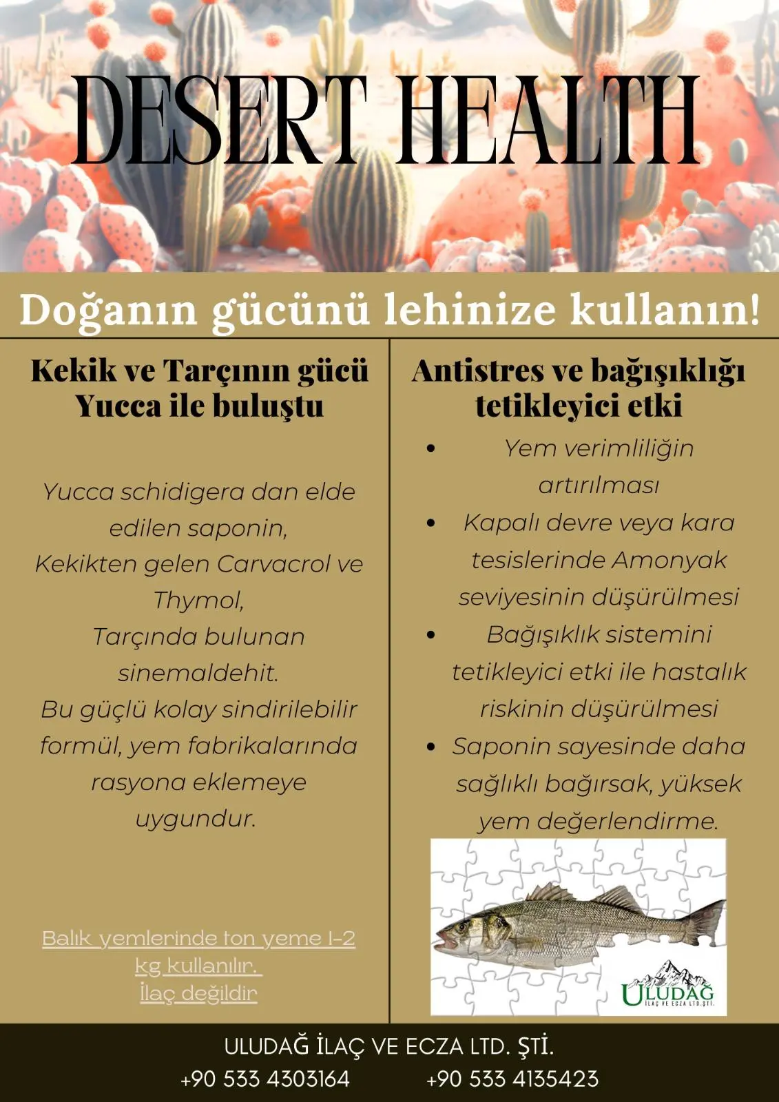 DESERT HEALTH POWDER