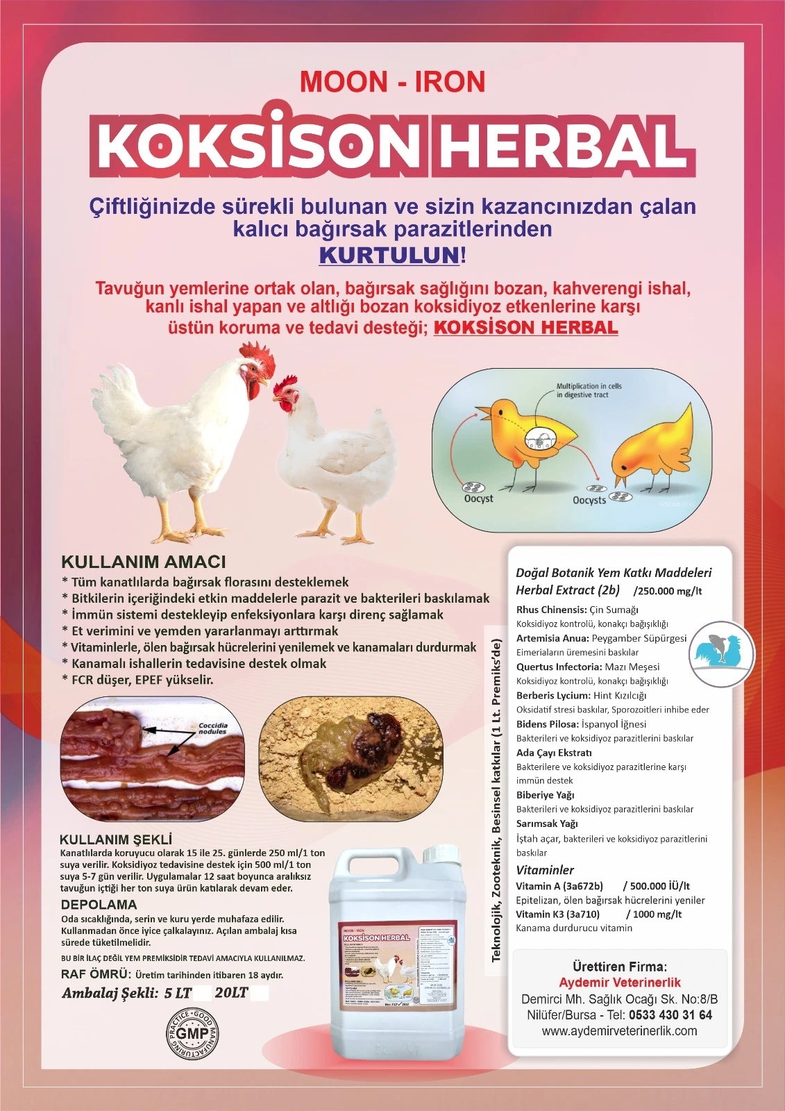 KOKSİSON HERBAL