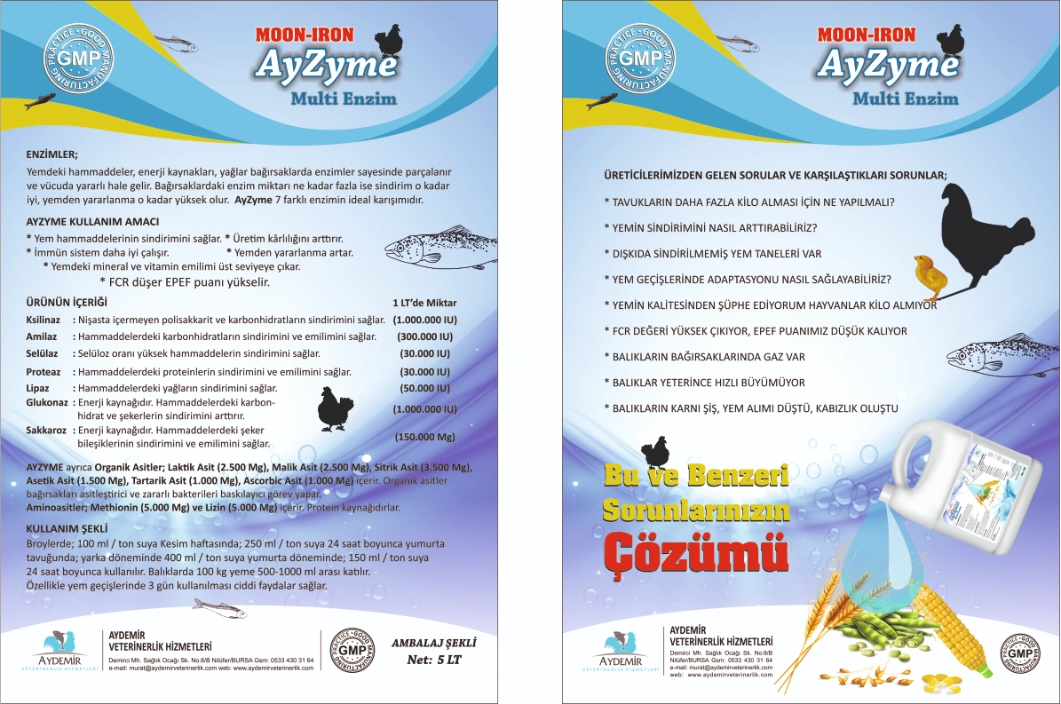 AyZyme