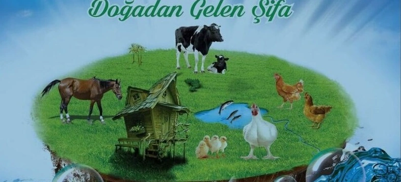 Ürünlerimiz